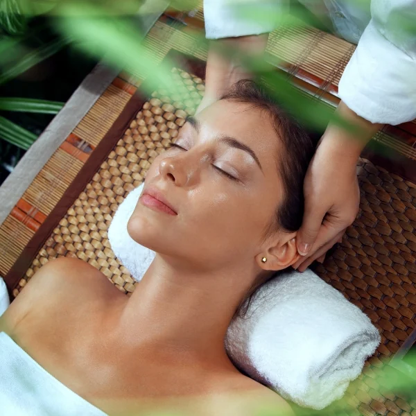 Wellnessophold