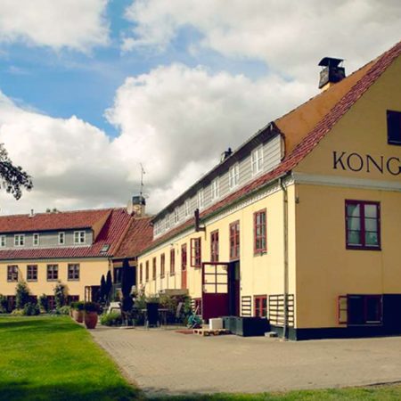kongensbro-kro.jpeg